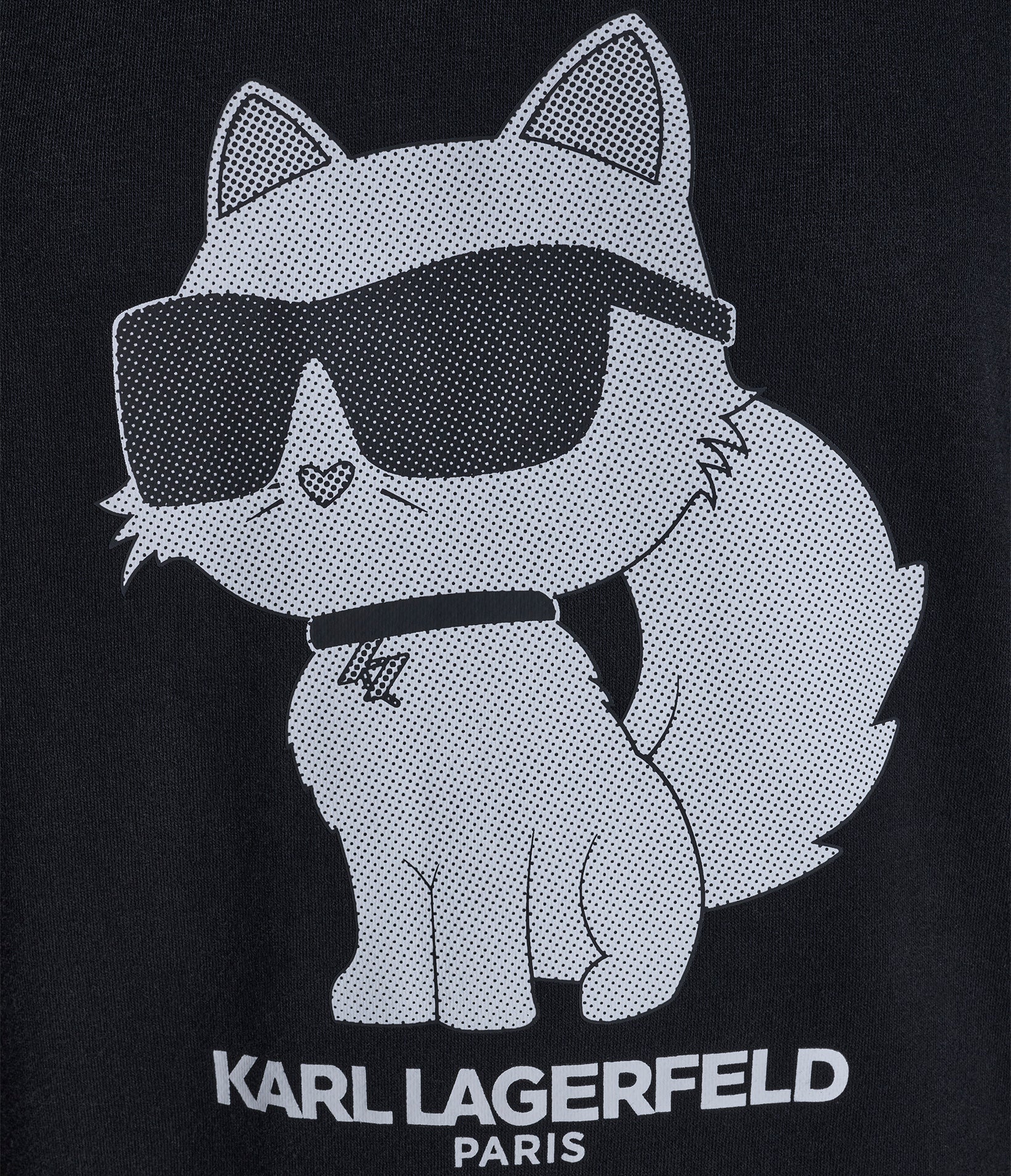 CHOUPETTE CREWNECK SWEATSHIRT - Image 6